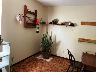 Home in Ash Flat, Arkansas for sale - image 18
