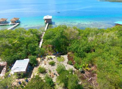 Over the Water Home Ready to be Finished, Bocas del Toro - image 11