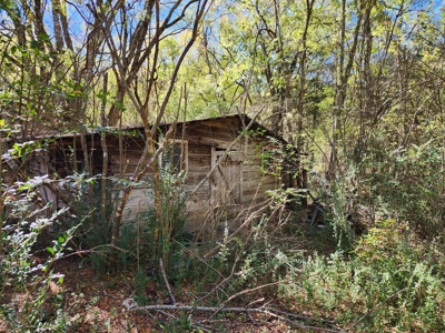 20 Acre Homestead – National Forest Area - image 10