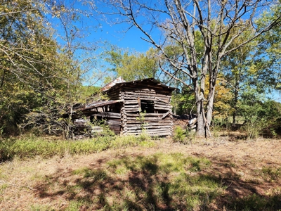 20 Acre Homestead – National Forest Area - image 12