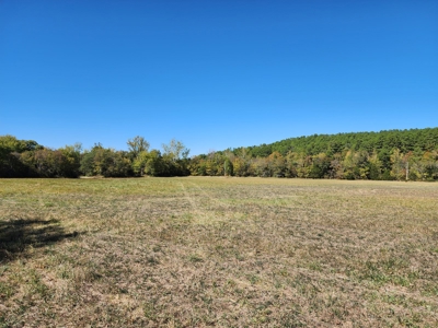 20 Acre Homestead – National Forest Area - image 15