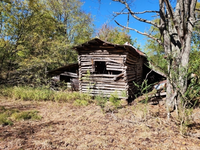 20 Acre Homestead – National Forest Area - image 13