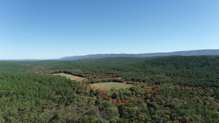 20 Acre Homestead – National Forest Area - image 2
