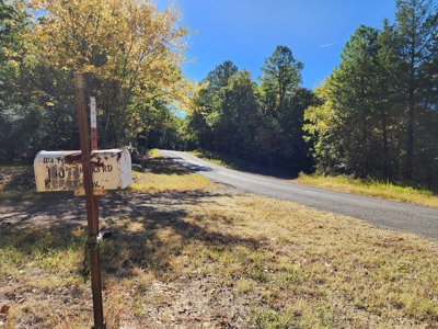 20 Acre Homestead – National Forest Area - image 23