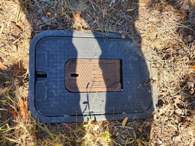 20 Acre Homestead – National Forest Area - image 22