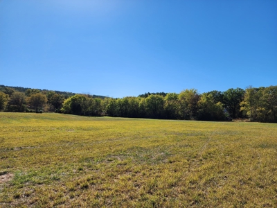 20 Acre Homestead – National Forest Area - image 19