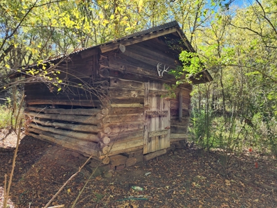 20 Acre Homestead – National Forest Area - image 8