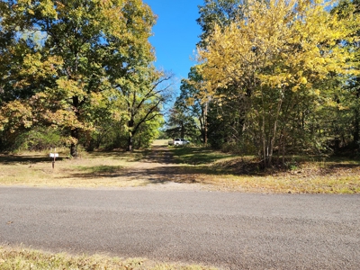 20 Acre Homestead – National Forest Area - image 20