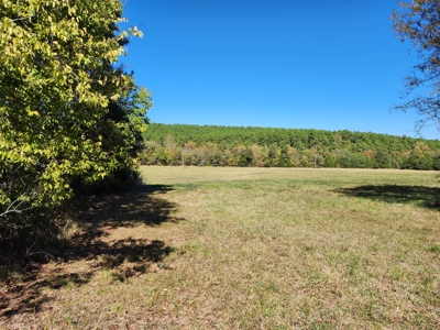 20 Acre Homestead – National Forest Area - image 14