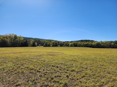 20 Acre Homestead – National Forest Area - image 16