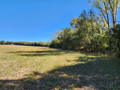 20 Acre Homestead – National Forest Area - image 18