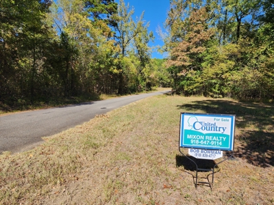 20 Acre Homestead – National Forest Area - image 21