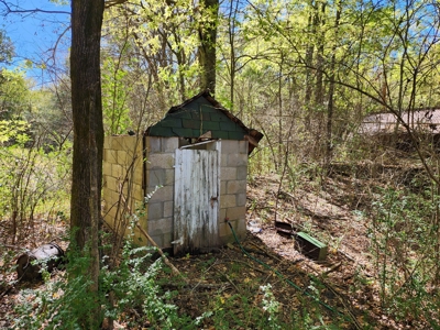 20 Acre Homestead – National Forest Area - image 3