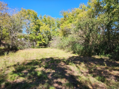 20 Acre Homestead – National Forest Area - image 11