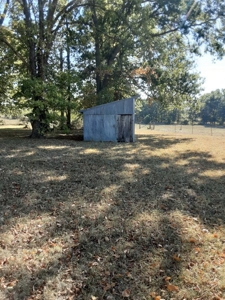 Farm House and Land For Sale in Cedar County Missouri - image 4