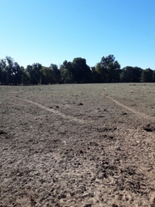 Farm House and Land For Sale in Cedar County Missouri - image 7