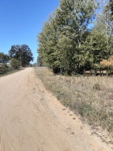 Farm House and Land For Sale in Cedar County Missouri - image 47