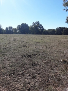 Farm House and Land For Sale in Cedar County Missouri - image 22