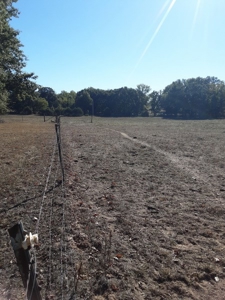 Farm House and Land For Sale in Cedar County Missouri - image 8