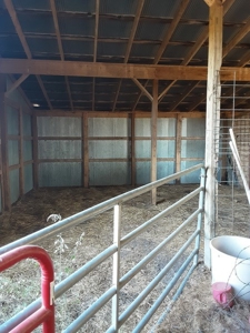 Farm House and Land For Sale in Cedar County Missouri - image 14