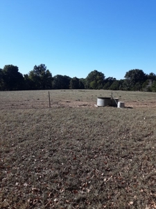 Farm House and Land For Sale in Cedar County Missouri - image 5