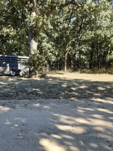 Farm House and Land For Sale in Cedar County Missouri - image 24