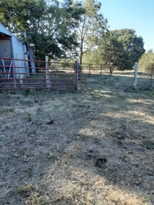 Farm House and Land For Sale in Cedar County Missouri - image 20