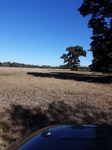 Farm House and Land For Sale in Cedar County Missouri - image 45