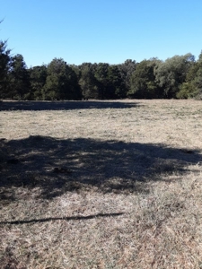 Farm House and Land For Sale in Cedar County Missouri - image 16