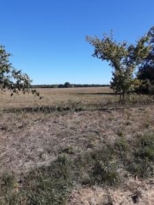 Farm House and Land For Sale in Cedar County Missouri - image 46
