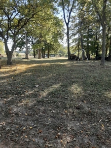 Farm House and Land For Sale in Cedar County Missouri - image 3