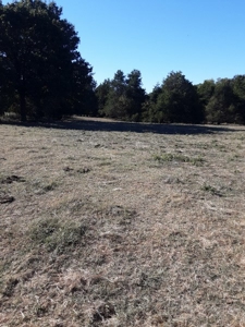 Farm House and Land For Sale in Cedar County Missouri - image 21