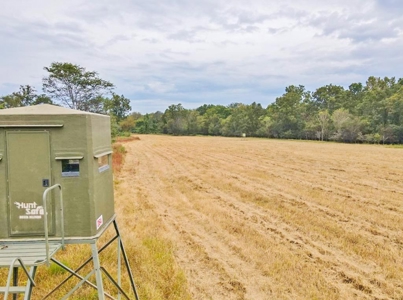 Diamond Island Hunt Club Share for Sale Tallulah, LA - image 15