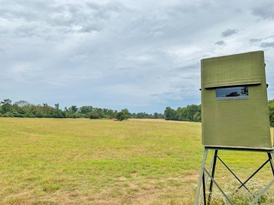 Diamond Island Hunt Club Share for Sale Tallulah, LA - image 30
