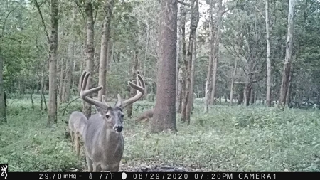 Diamond Island Hunt Club Share for Sale Tallulah, LA - image 1