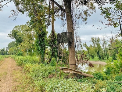 Diamond Island Hunt Club Share for Sale Tallulah, LA - image 36