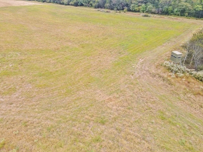 Diamond Island Hunt Club Share for Sale Tallulah, LA - image 13