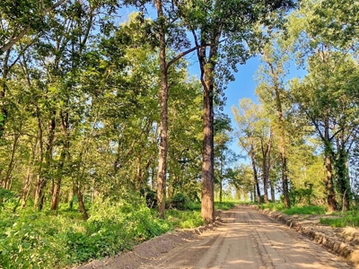 Diamond Island Hunt Club Share for Sale Tallulah, LA - image 25