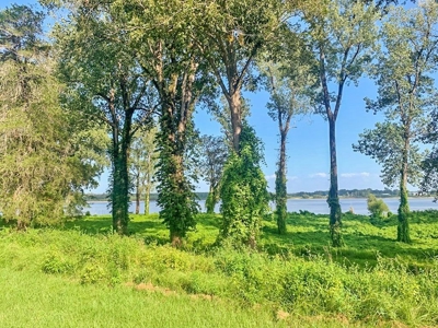 Diamond Island Hunt Club Share for Sale Tallulah, LA - image 21