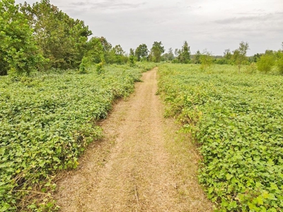 Diamond Island Hunt Club Share for Sale Tallulah, LA - image 18