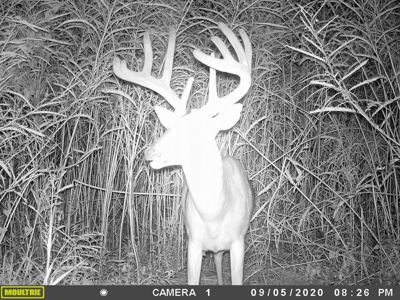Diamond Island Hunt Club Share for Sale Tallulah, LA - image 7