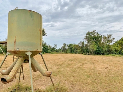 Diamond Island Hunt Club Share for Sale Tallulah, LA - image 31