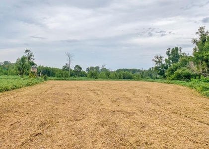 Diamond Island Hunt Club Share for Sale Tallulah, LA - image 32