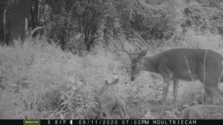 Diamond Island Hunt Club Share for Sale Tallulah, LA - image 5