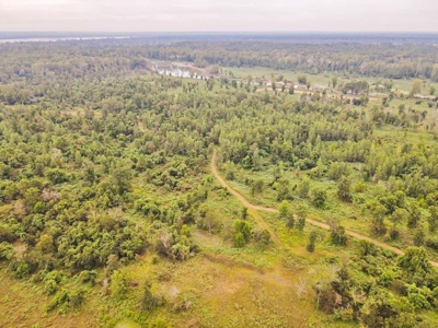 Diamond Island Hunt Club Share for Sale Tallulah, LA - image 16