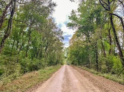 Diamond Island Hunt Club Share for Sale Tallulah, LA - image 28