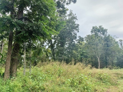 Diamond Island Hunt Club Share for Sale Tallulah, LA - image 2