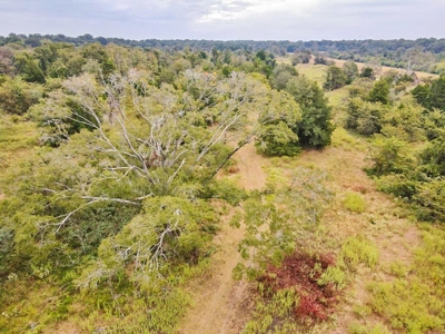 Diamond Island Hunt Club Share for Sale Tallulah, LA - image 14