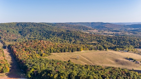 Under Contract in Albany, KY - image 10