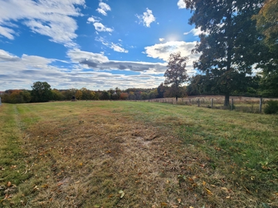 78 acre cattle farm for sale near Franklin, Ky - image 23